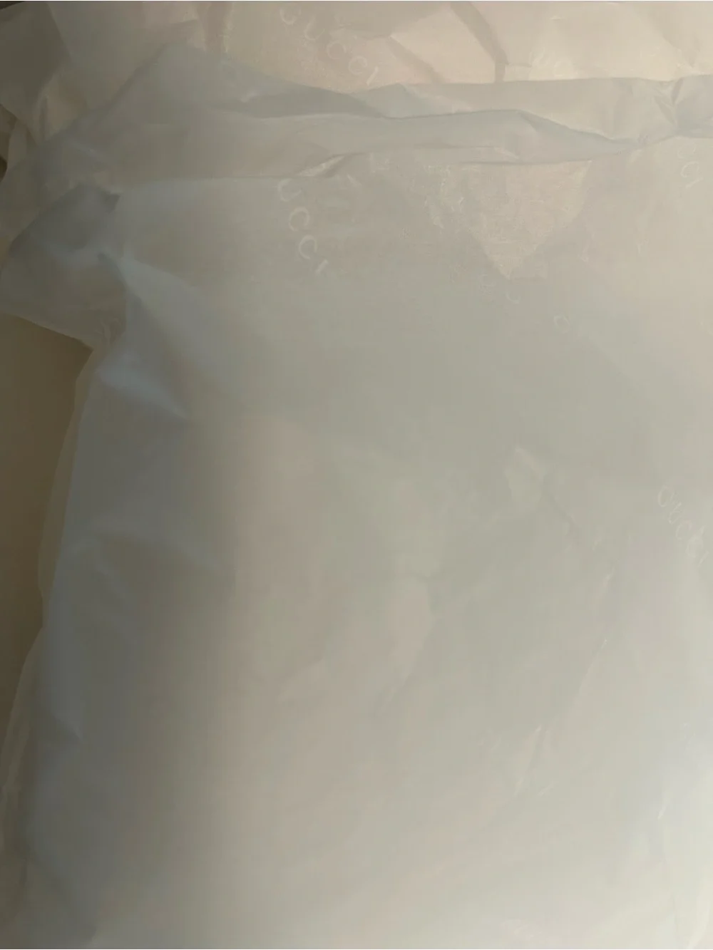Gucci shoe box with dust bags